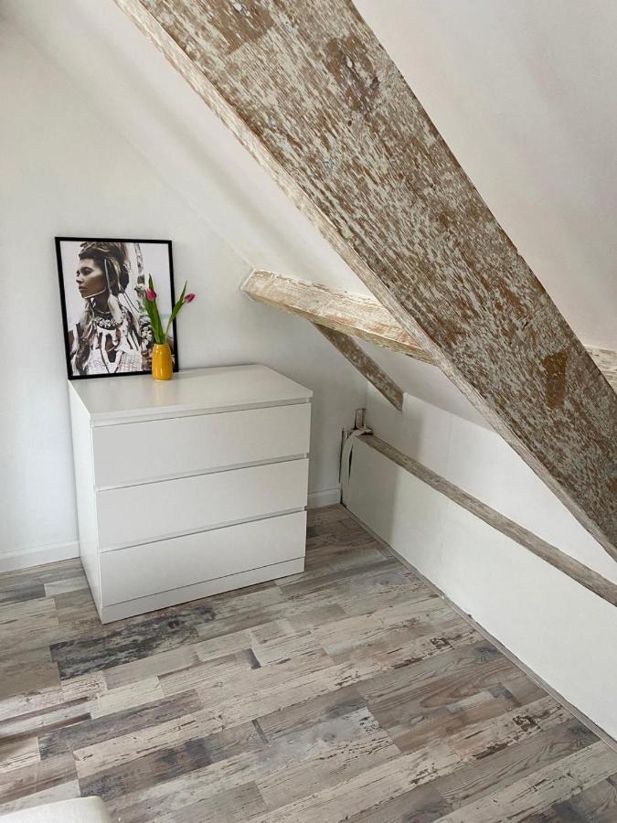 Zilvermeeuw Bergen aan Zee Zewnętrze zdjęcie