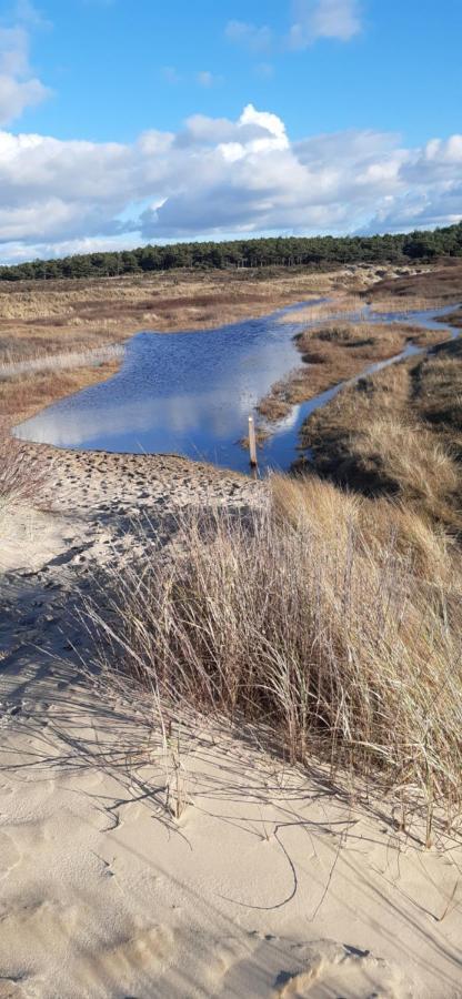 Zilvermeeuw Bergen aan Zee Zewnętrze zdjęcie